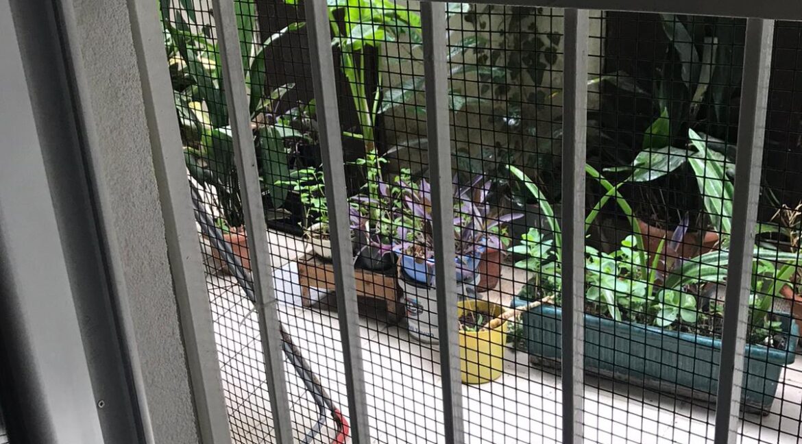 WhatsApp Image 2020-06-14 at 17.37.17