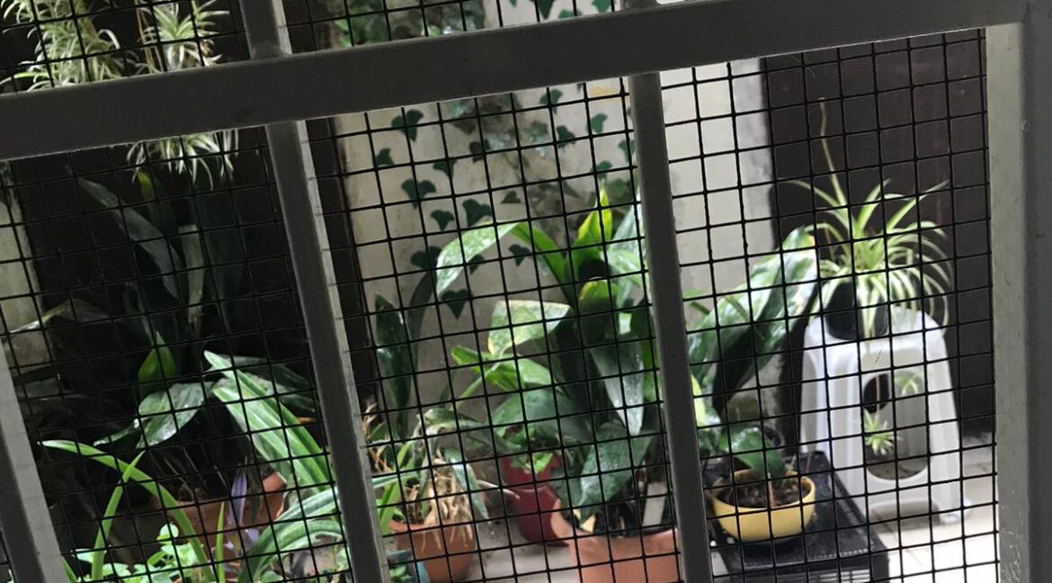 WhatsApp Image 2020-06-14 at 17.37.18