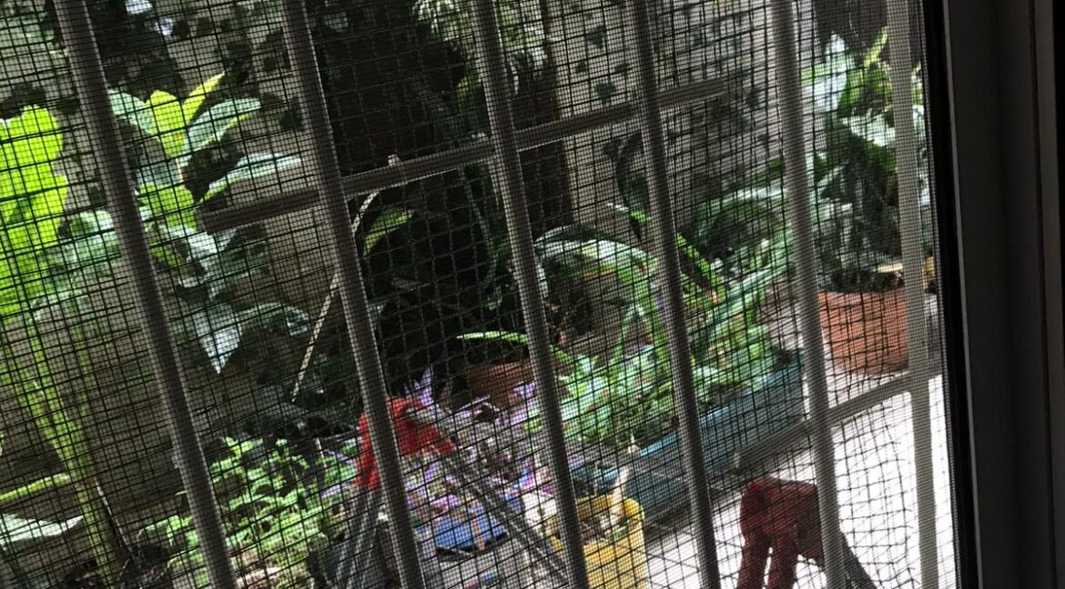 WhatsApp Image 2020-06-14 at 17.37.20 (1)