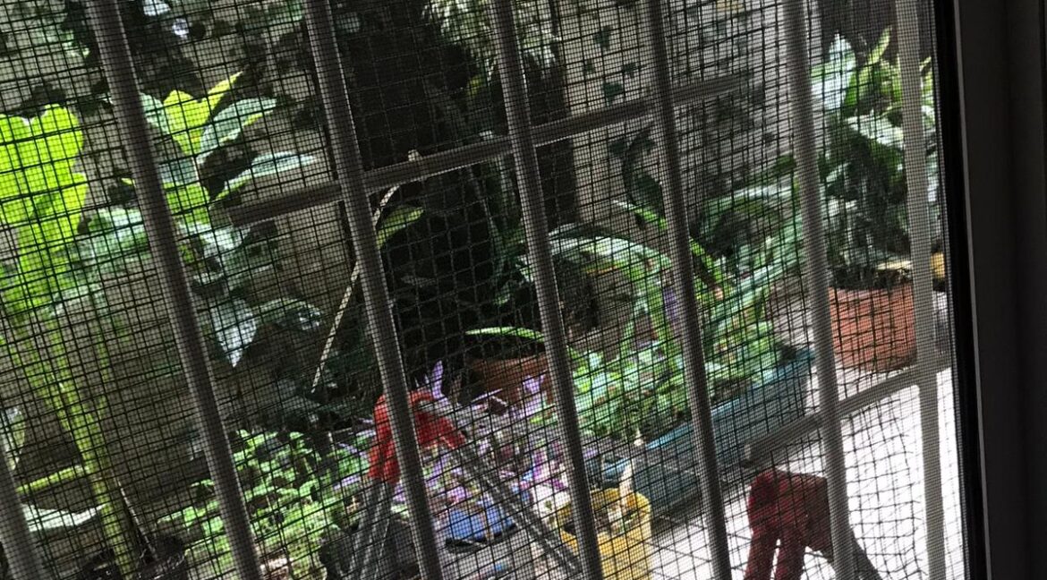 WhatsApp Image 2020-06-14 at 17.37.21